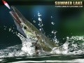 Gioco Lago Estivo 1.5 in linea