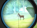 Gioco Addestramento del Cacciatore in linea
