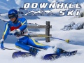 Gioco Sci discesa in linea