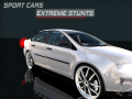 Gioco Auto sportive: Stunt estremi in linea