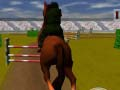 Gioco Cavallo Saltante 3D in linea