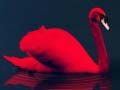 Gioco Puzzle degli Uccelli Amore in linea