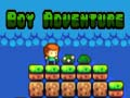 Gioco Avventura del ragazzo in linea