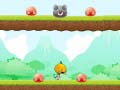 Gioco Zucca Ninja in linea