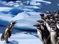Gioco Scivolo dei Pinguini in linea