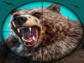 Gioco Caccia all'orso selvatico in linea