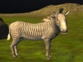 Gioco Caccia agli Animali Veri della Giungla in linea