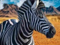 Gioco Cacciatore di zebre in linea