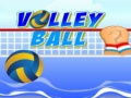 Gioco Pallavolo in linea