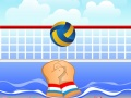 Gioco Pallavolo in linea