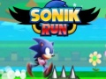 Gioco Corsa di Sonik in linea