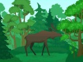 Gioco Colora gli Animali Selvatici in linea
