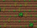 Gioco Preparatore di tè in linea