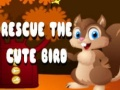 Gioco Salva l'uccellino carino in linea