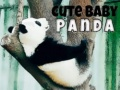 Gioco Carinissimo Baby Panda in linea