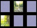 Gioco Memoria della Natura in linea
