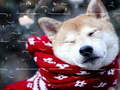 Gioco Puzzle degli Animali Invernali in linea