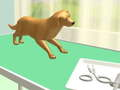 Gioco Cura delle Zampe in linea