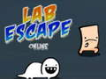 Gioco Fuga dal laboratorio online in linea
