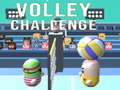 Gioco Sfida di Volley in linea