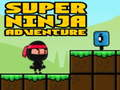 Gioco Super Avventura Ninja in linea