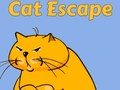 Gioco Fuga del gatto in linea
