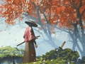 Gioco Riflessione Samurai in linea