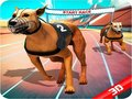 Gioco Corsa di cani pazzi in linea