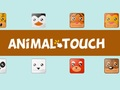 Gioco Animale Toush in linea