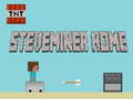 Gioco Steveminer Casa in linea