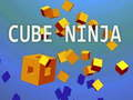 Gioco Ninja Cubo in linea