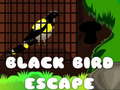 Gioco Fuga dell'Uccello Nero in linea