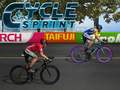 Gioco Corsa in Bicicletta in linea