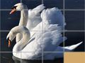 Gioco Puzzle Scorrimento Animali in linea