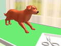 Gioco Cura degli animali domestici in linea