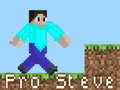 Gioco Pro Steve in linea
