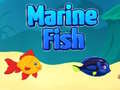 Gioco Pesce marino in linea