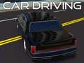 Gioco Guida dell'auto in linea