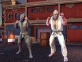 Gioco Mondo dei Combattenti: Pugni di Ferro in linea
