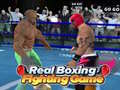 Gioco Gioco di Boxe Reale in linea