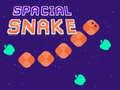 Gioco Serpente Spaziale in linea