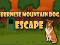 Gioco Fuga del cane da montagna bernese in linea