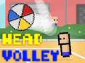Gioco Volley della testa in linea