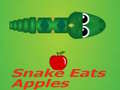 Gioco Il serpente mangia la mela in linea