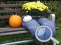 Gioco Giardino d'Autunno: Trova 100 farfalle in linea