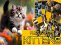 Gioco Puzzle dei Gattini Scivolosi in linea