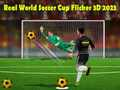 Gioco Coppa del Mondo di Calcio Reale Flicker 3D 2023 in linea
