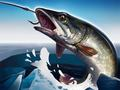 Gioco Pesca sul ghiaccio 3D in linea