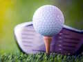 Gioco Sfida di Golf Sbloccata in linea