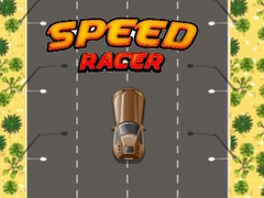 Gioco Speed Racer in linea